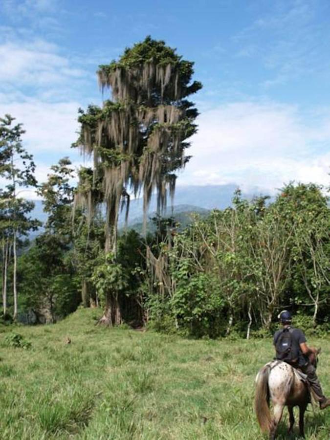 Готель Hacienda Monteclaro Турріальба Екстер'єр фото